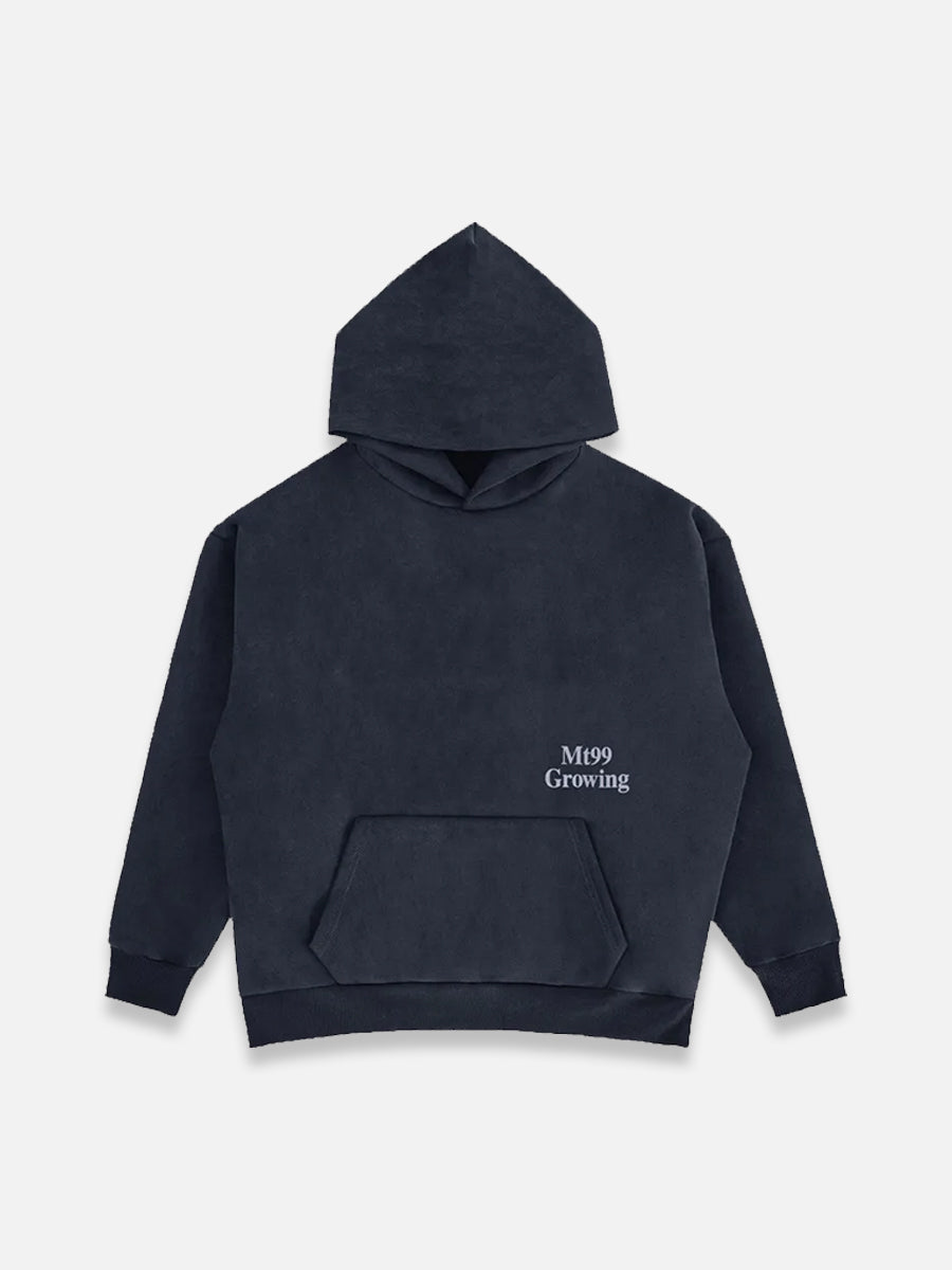 IN THE WORLD HOODIE