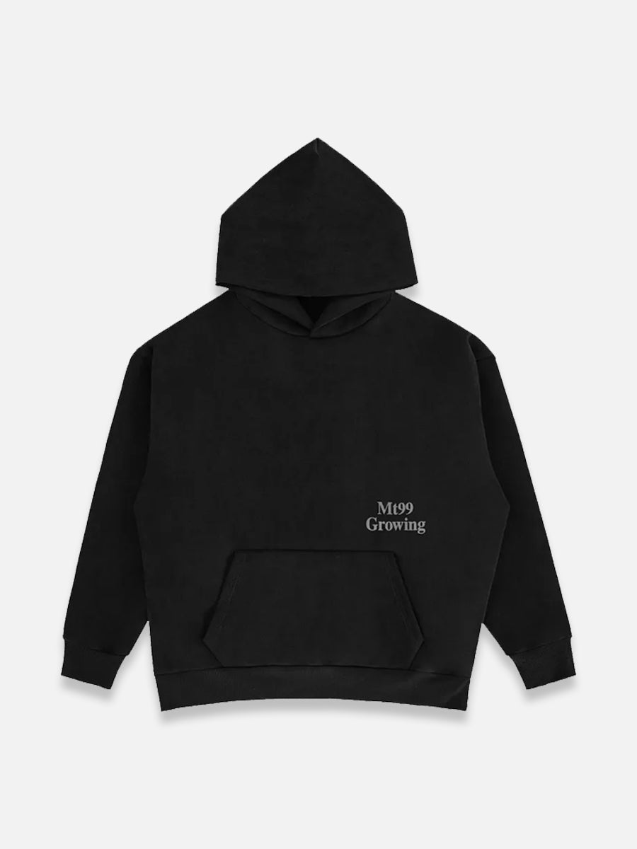 IN THE WORLD HOODIE